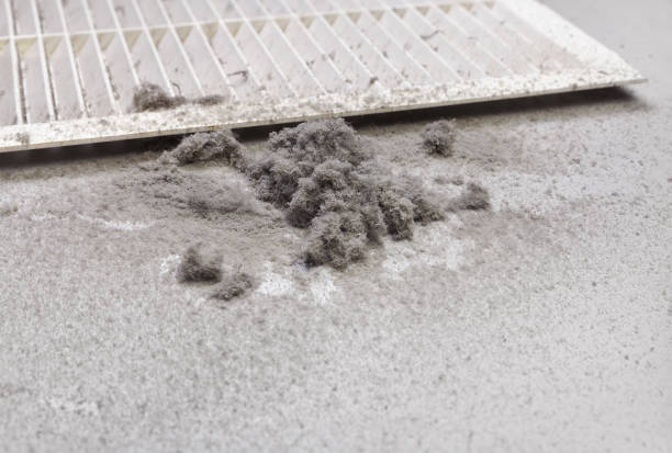 Best HVAC Maintenance and Cleaning  in Sand Ridge, NY