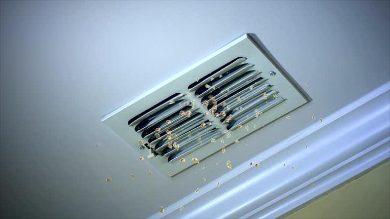 Best Dryer Vent Cleaning Services  in Sand Ridge, NY
