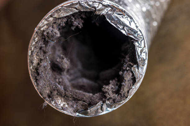 Best Dryer Vent Cleaning Services  in Sand Ridge, NY